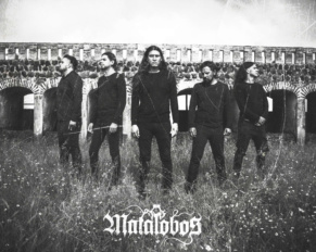 Desde México: MATALOBOS anuncia el lanzamiento de su segundo álbum oficial este 2020!