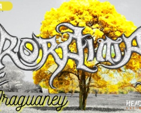 [RESEÑA] RORAIMA (VZLA) – ARAGUANEY