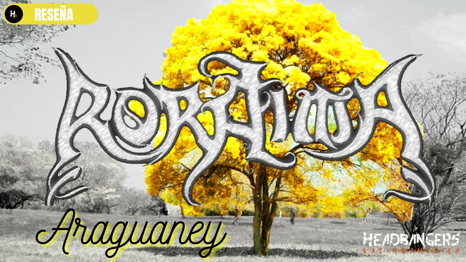 [RESEÑA] RORAIMA (VZLA) – ARAGUANEY