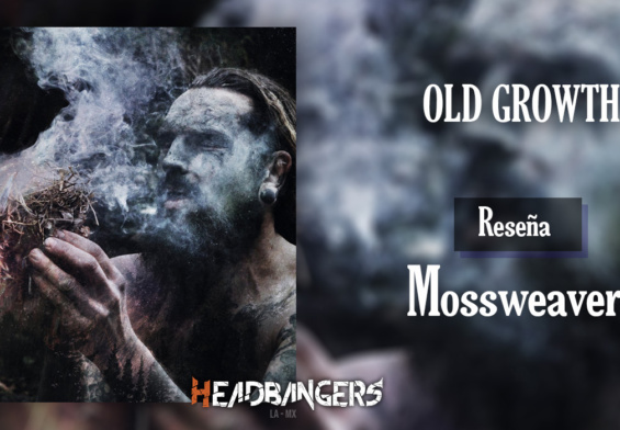 [RESEÑA] OLD GROWTH – MOSSWEAVER: Desde el corazón de los bosques alemanes