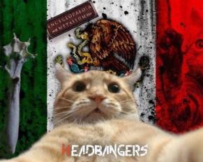 Fotos de gatitos invaden [Metal Archives]: ¡Top Bandas Mexicanas!