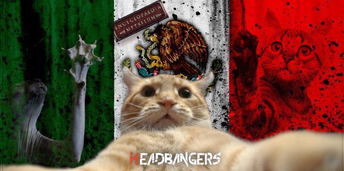 Fotos de gatitos invaden [Metal Archives]: ¡Top Bandas Mexicanas!