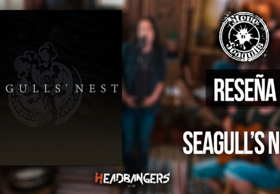 Review: [Steve N Seagulls] ‘Seagulls Nest Serie‘ (2021)