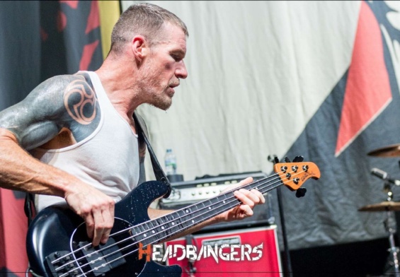 [Tim Commerford] de [Rage Against The Machine] se asocia con [Ernie Ball Music Man].