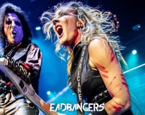 Accidente en el escenario: ¡[Alice Cooper] golpea a [Nina Strauss]!