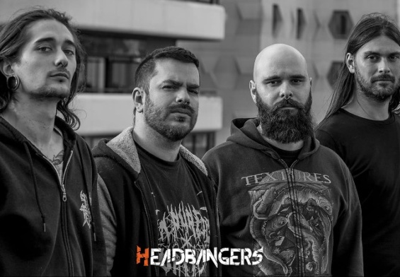 [Exocrine] anuncia nuevo álbum y estrena nuevo visualizador.