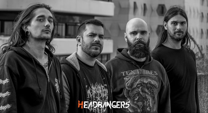 [Exocrine] anuncia nuevo álbum y estrena nuevo visualizador.