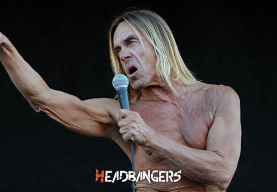 [Iggy Pop] La historia olvidada del padrino del punk