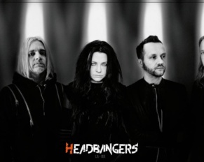 ¿Qué es lo que pasa en [Evanescence] y sus miembros?