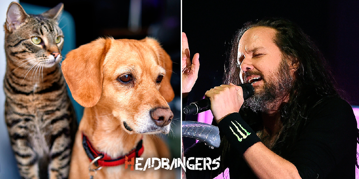 Conoce ‘Freak on a Leash’ la nueva compañía de Johnatan Davis de Korn