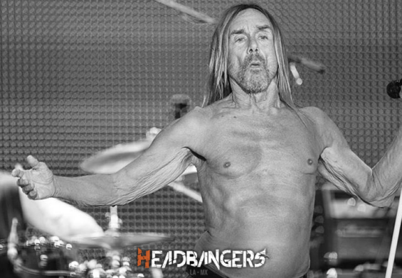 Iggy Pop rechazó un acercamiento para unirse a AC/DC: ‘No soy lo que necesitaban’