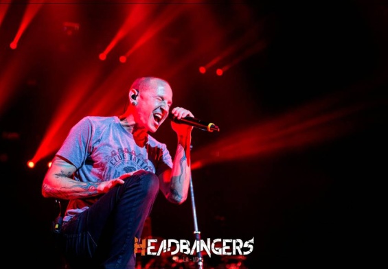 ¿Chester Bennington es odiado porque no le gustaba el Nu-Metal?